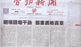 劳动新闻爆料怎么写范文,深度解析事件背后真相